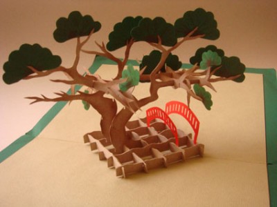 Bonsai